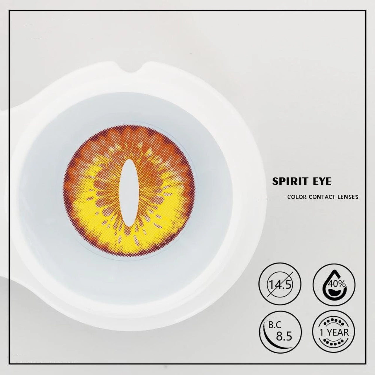 Eyeshare Comicparty Cosplay Series/Spirit Eye